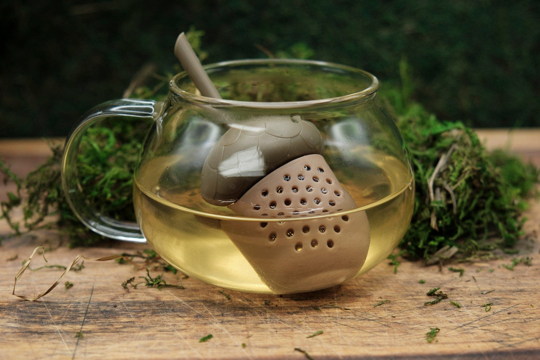 Acorn tea infuser making tea