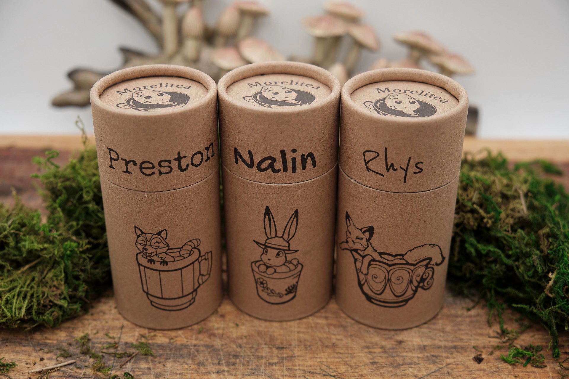 Cove City Tea: Paquete de Muestras