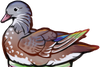 Corabel